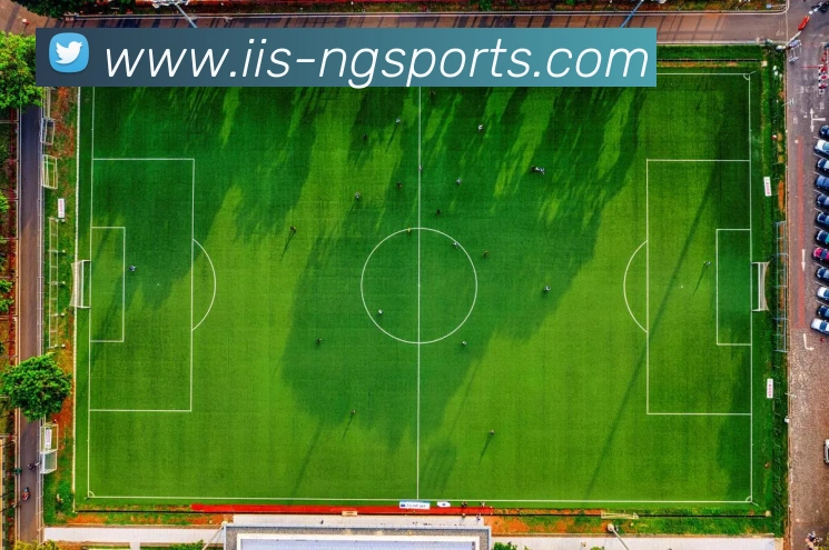 App Interface Preview